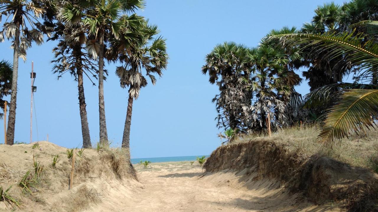 Majestic Beach Retreat カルピティヤ エクステリア 写真