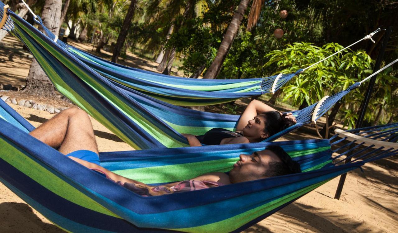 Majestic Beach Retreat カルピティヤ エクステリア 写真